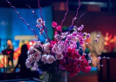 Household Props - Sydney Prop Specialists