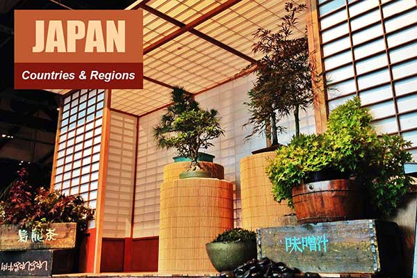 Japan Theme - Sydney Prop Specialists