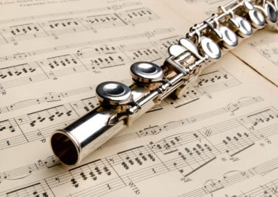 Musical Instruments - Sydney Prop Specialists