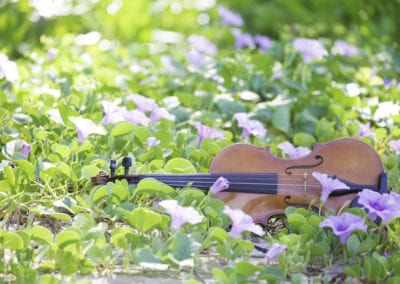 Musical Instruments - Sydney Prop Specialists