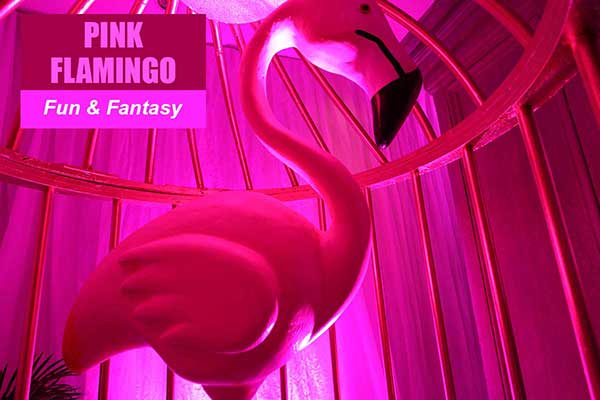 Pink Flamingo Theme - Fun and Fantasy Themes - Sydney Prop Specialists