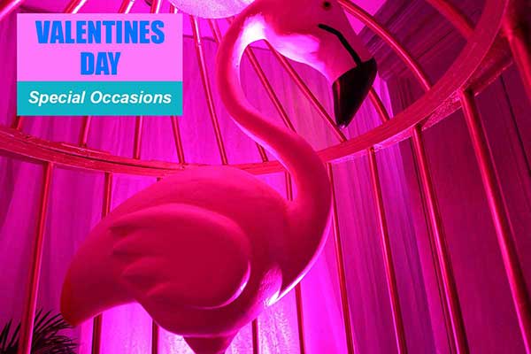 Valentines Day Theme - Special Occasion Themes -  Sydney Prop Specialists