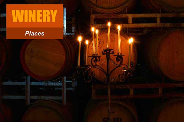 Winery Theme - Place Themes -  Sydney Prop Specialists