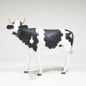 Sydney Prop Specialists