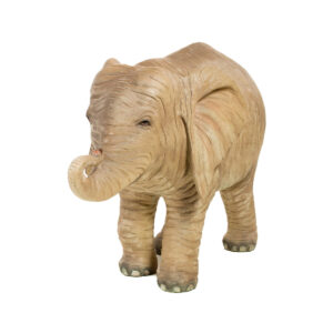 Sydney Prop Specialists - Baby Elephant