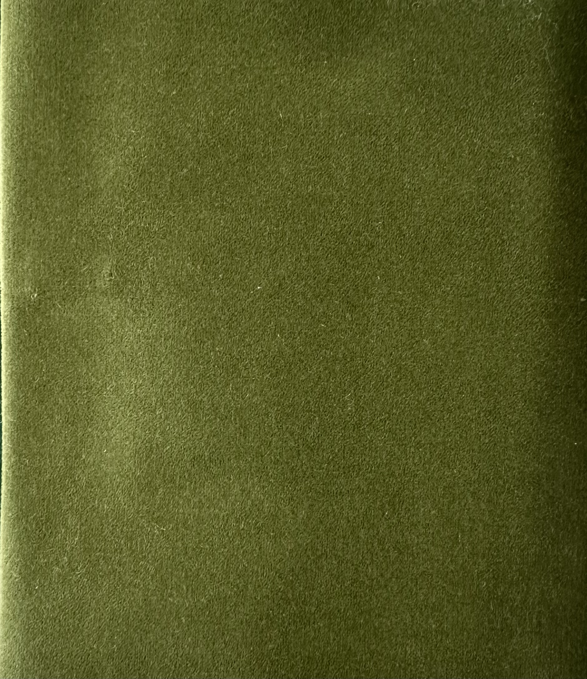 Luka Lounge - Velvet Moss Green - Image 2